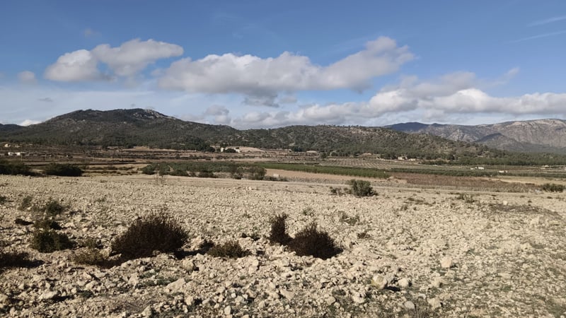 Land in Salinas - view 1