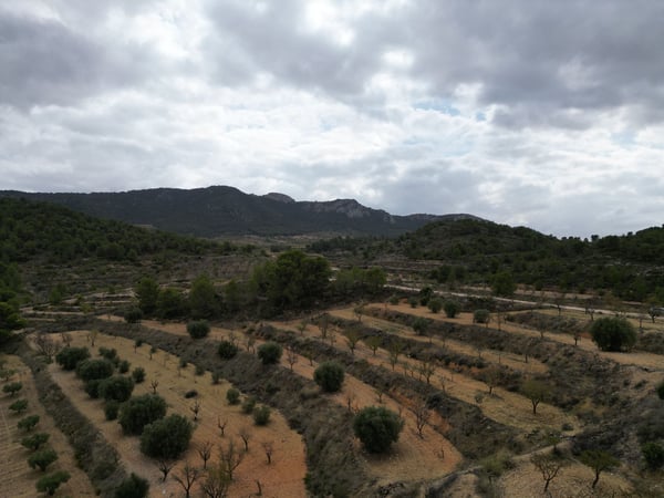 Land in La Zarza - view 1
