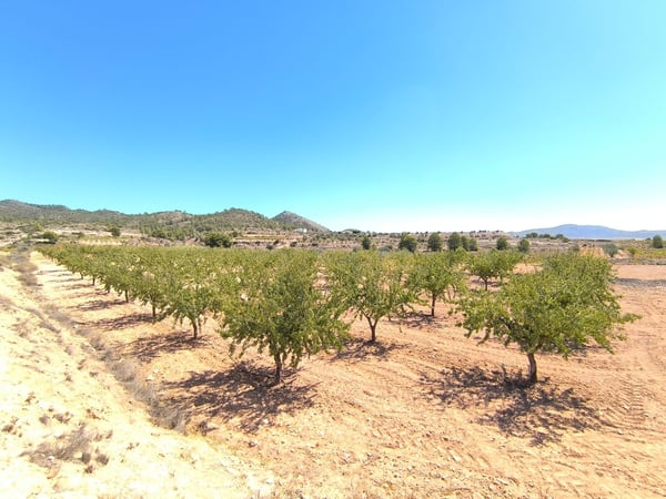 Land in Manar - view 1