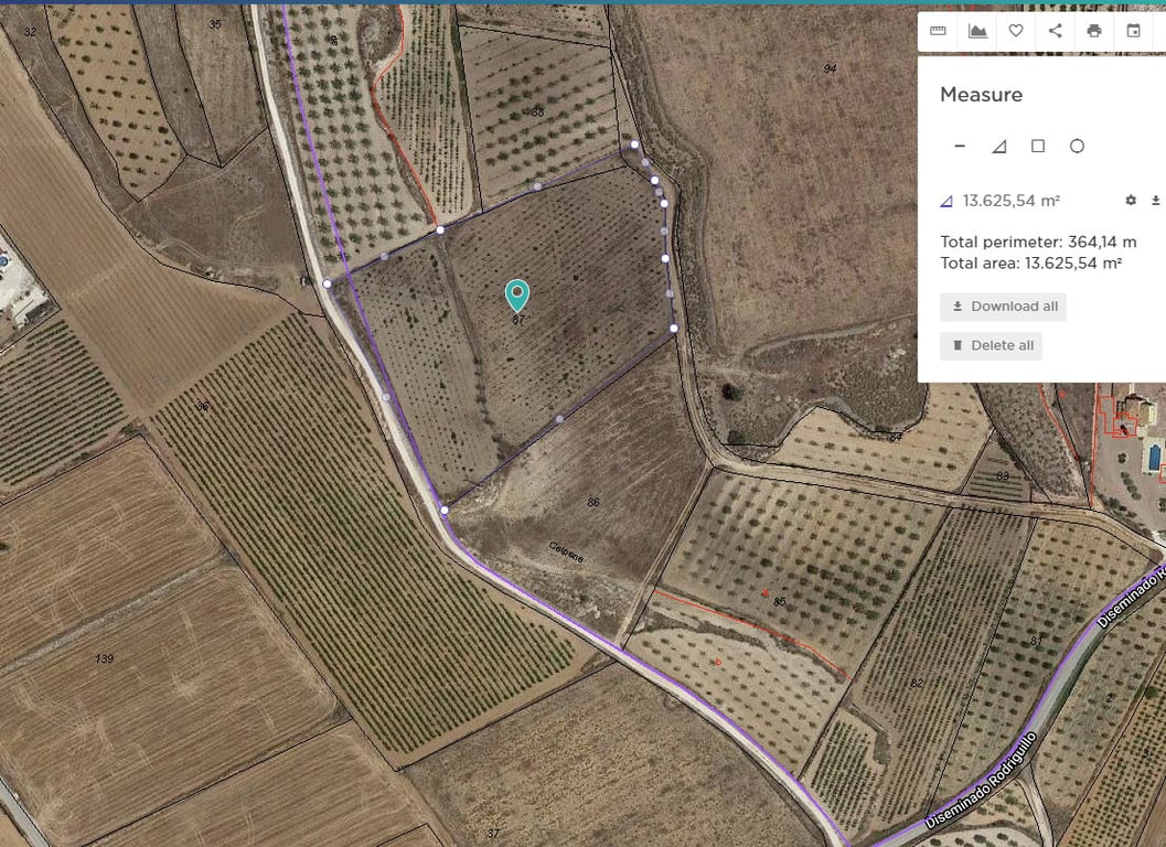 Land in El Rodriguillo - Image 2