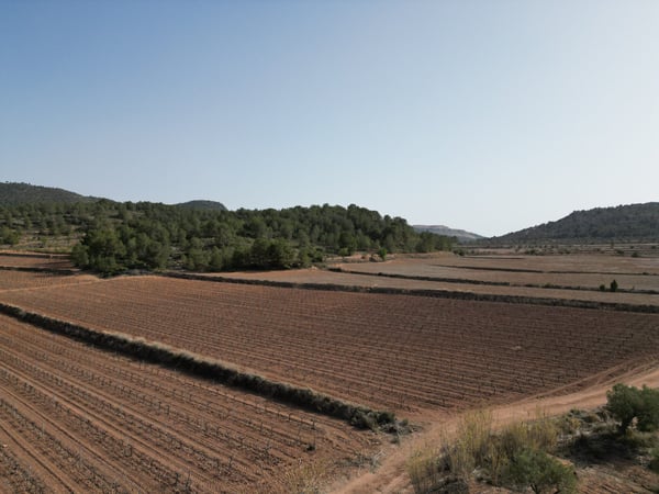 Land in Pinoso - view 1