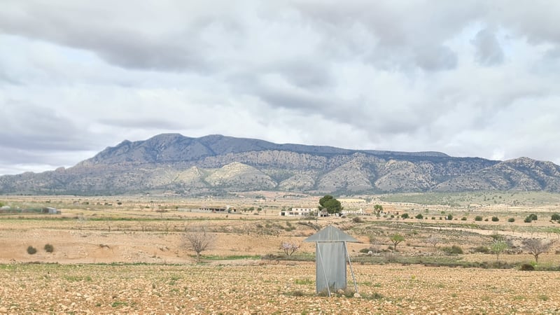 Land in Torre del Rico - view 1