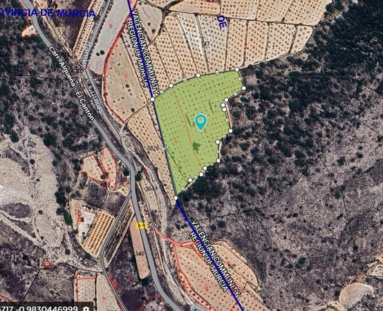 Land in Alguena - view 1