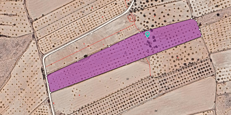 Land in Pinoso - view 1