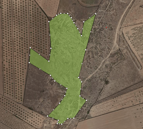 Land in Pinos, el/Pinoso - view 1