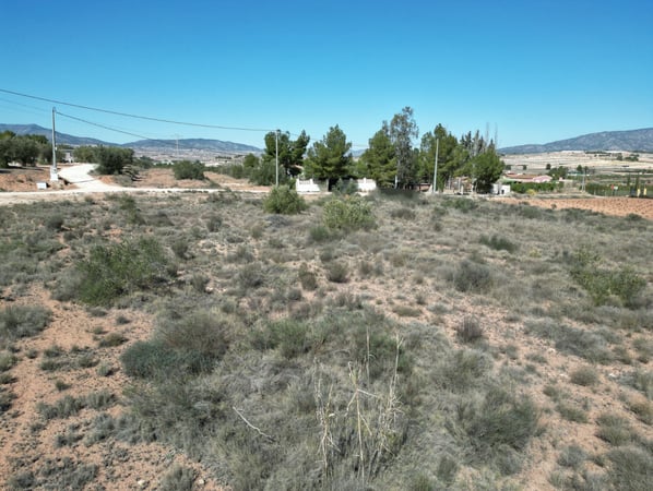 Land in Pinoso - view 1