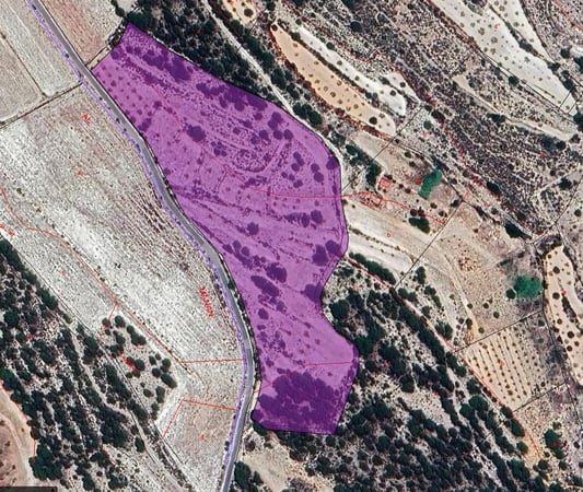 Land in Monovar - view 1