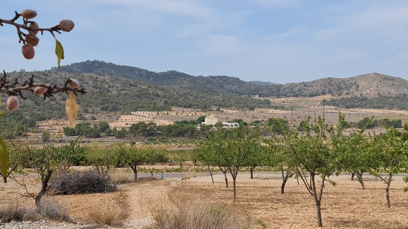 Land in Alguena - view 1