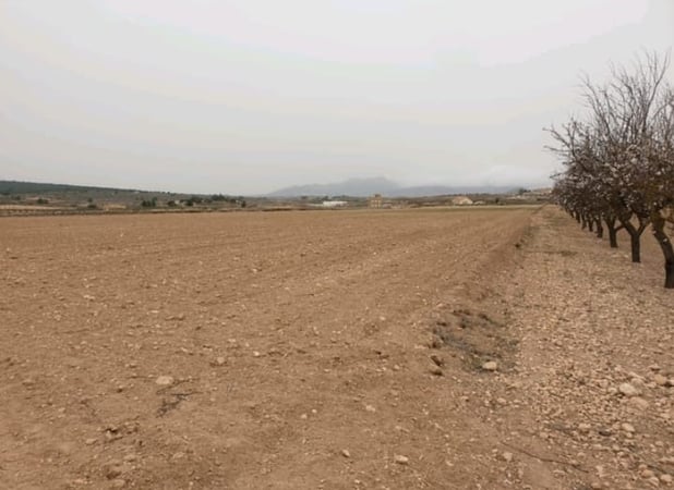 Land in Ubeda - view 1