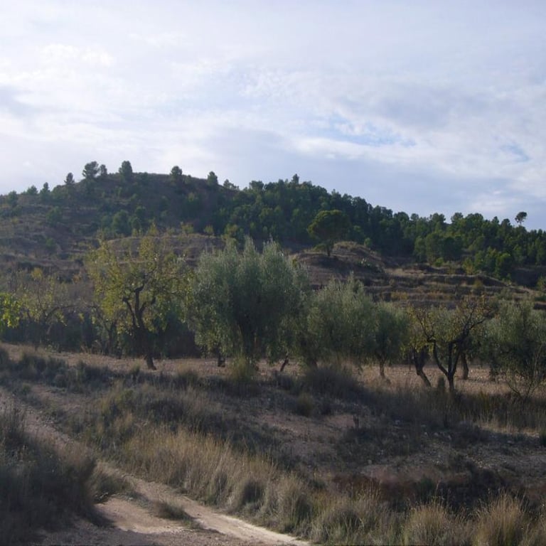 House in Barinas - Image 2