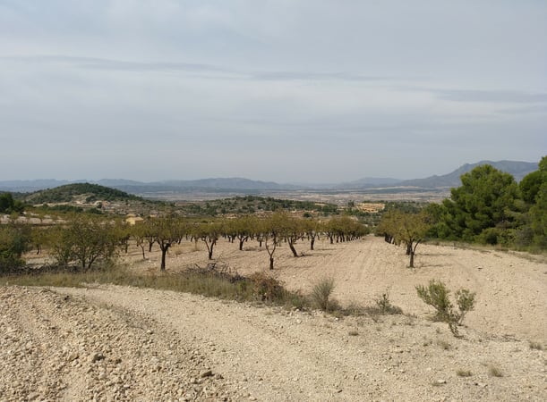 Land in El Salado - view 1