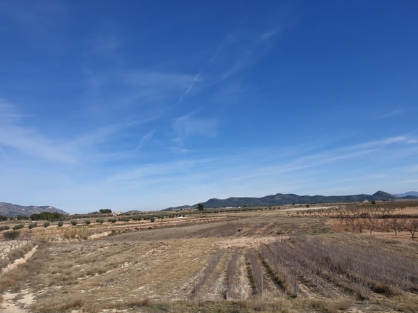 Land in Pinoso - view 1