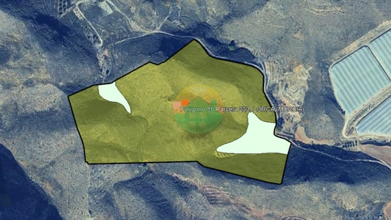 Farm, Ranch or Equestrian in Morata - view 1