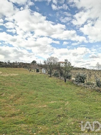 Land in Ervededo - view 1