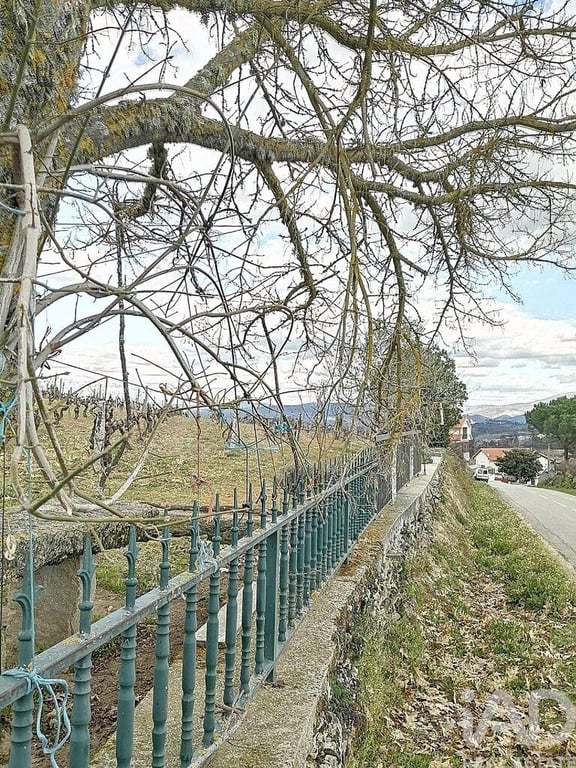 Land in Ervededo - Image 2