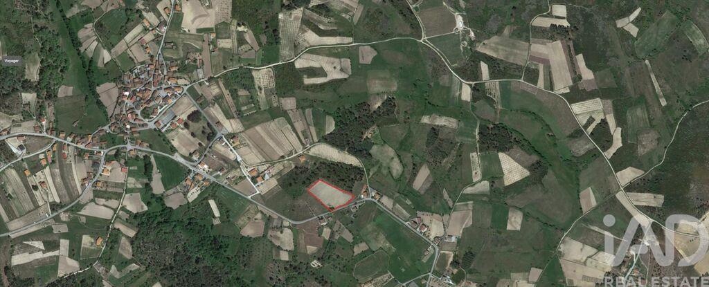 Land in Ervededo - Image 3