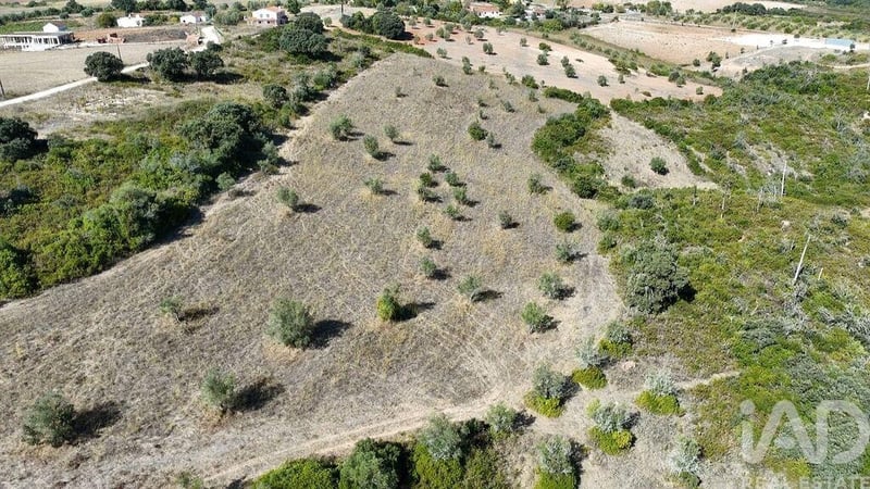 Land in Abitureiras - view 1