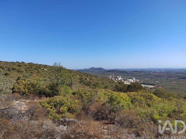 Land in Loule - view 1