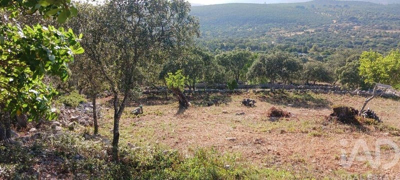 Land in Loule - view 1