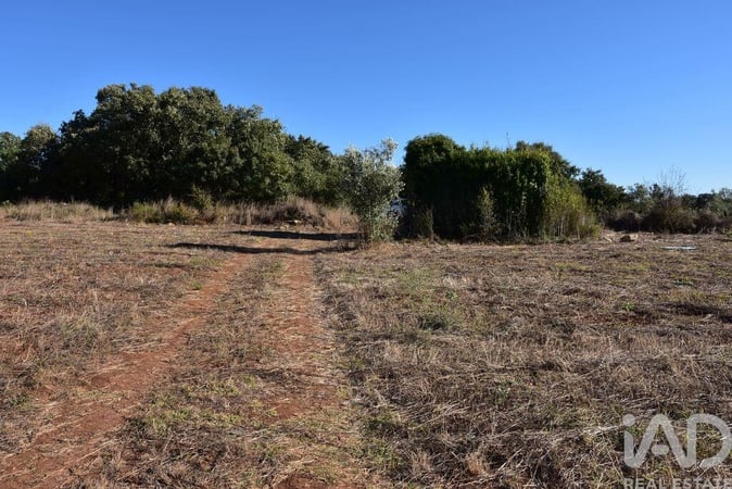 Land in Areias - view 1