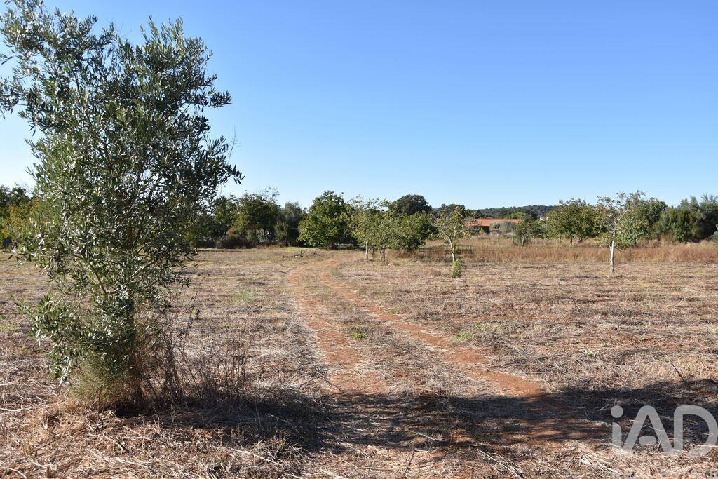 Land in Areias - Image 5