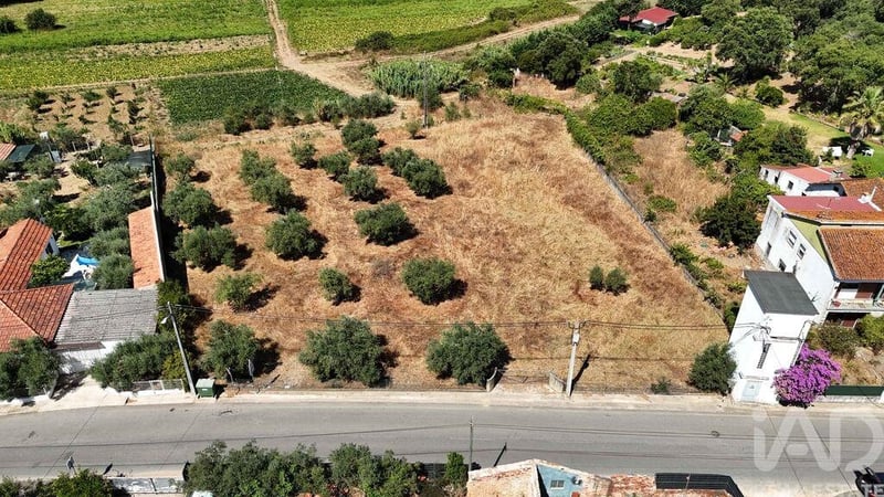 Land in Fraguas - view 1