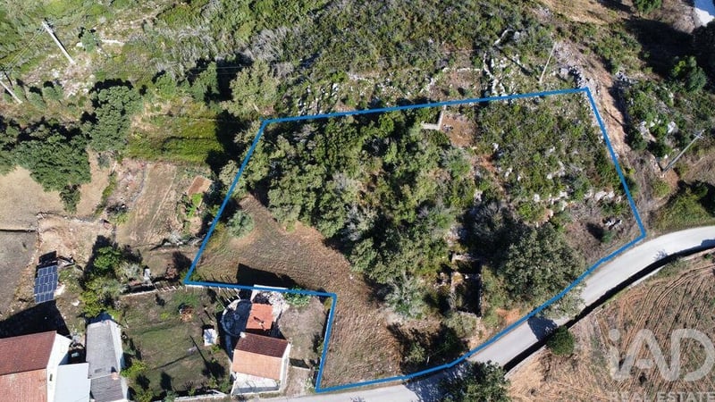 Land in Ansiao - view 1