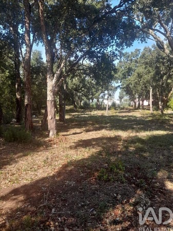 Land in Aljubarrota - view 1