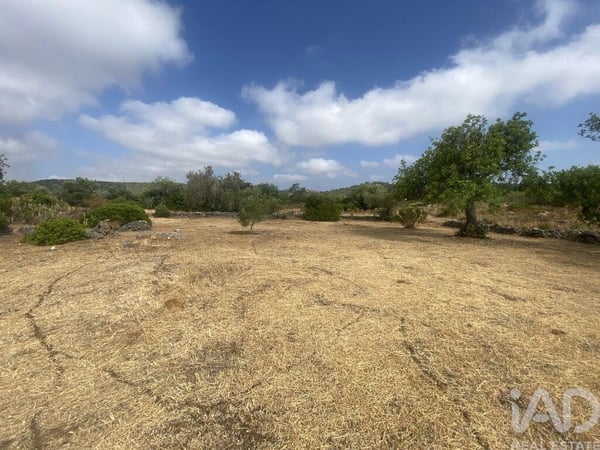 Land in Santa Catarina da Fonte do Bispo - view 1