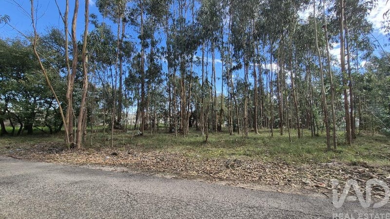 Land in Pedreiras - view 1