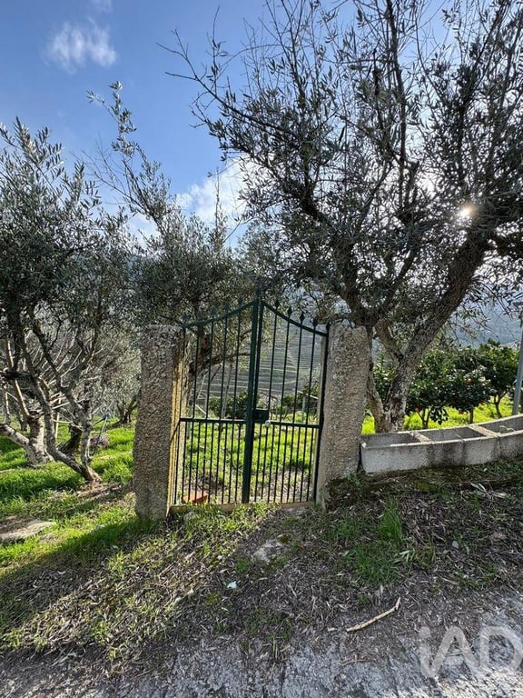 Land in Tabuaco - Image 3