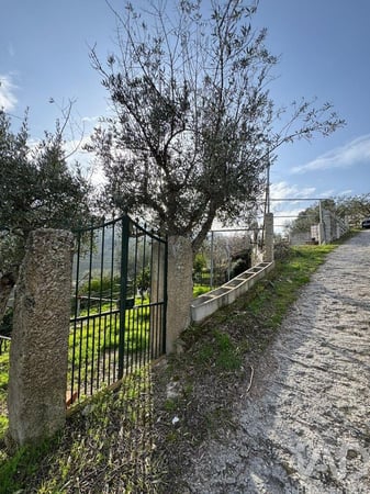 Land in Tabuaco - view 1