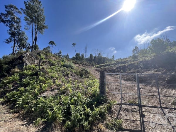 Land in Travanca - view 1