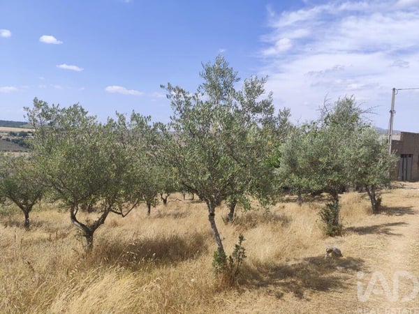 House in Castelo Branco - view 1