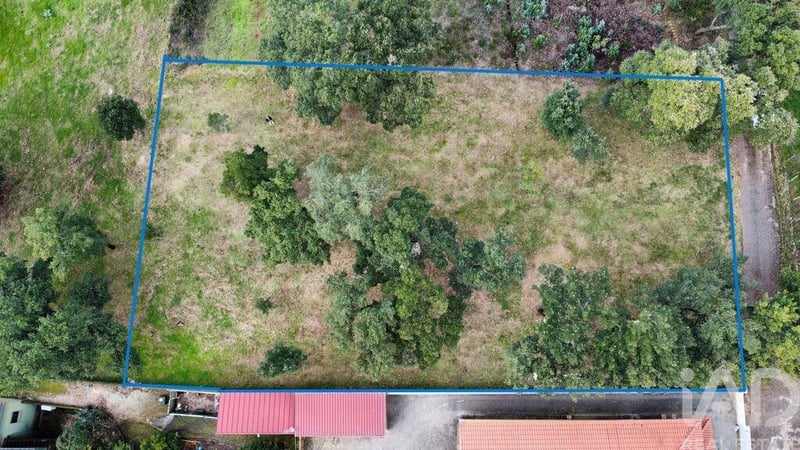 Land in Figueiro Dos Vinhos - view 1