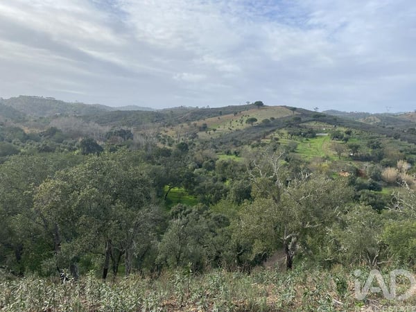 Land in Sao Bras de Alportel - view 1