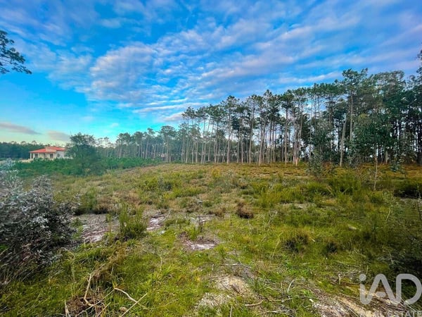 Land in Monte Redondo - view 1