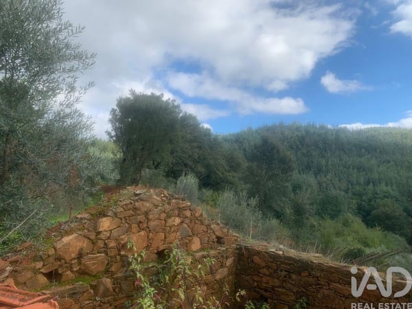 Land in Pedrogao Grande - view 1