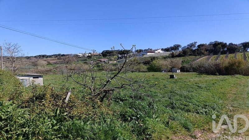 Land in Cela - view 1