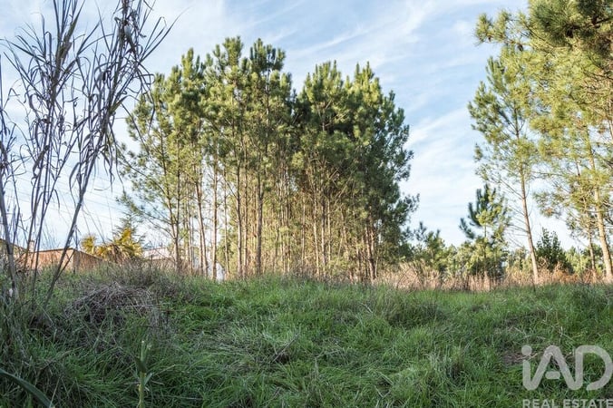 Land in Marinha Grande - view 1