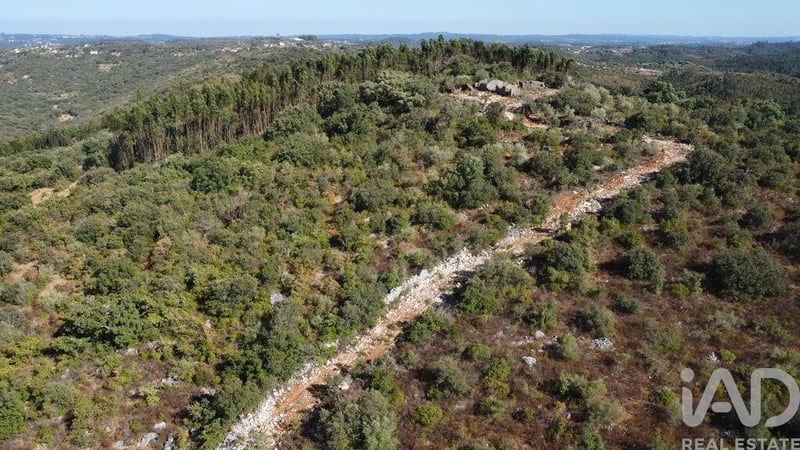 House in Farrio - view 1