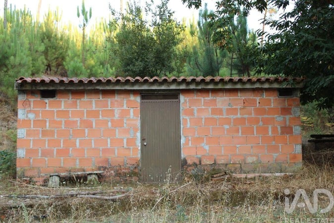 Land in Nogueira do Cravo - view 1