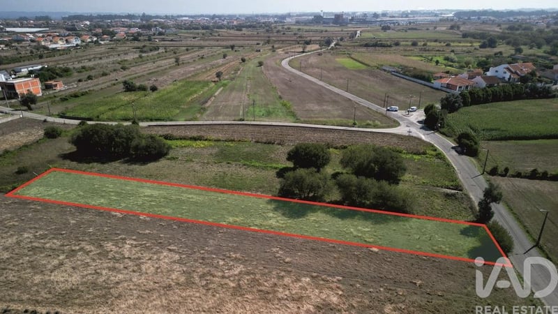 Land in Cacia - view 1