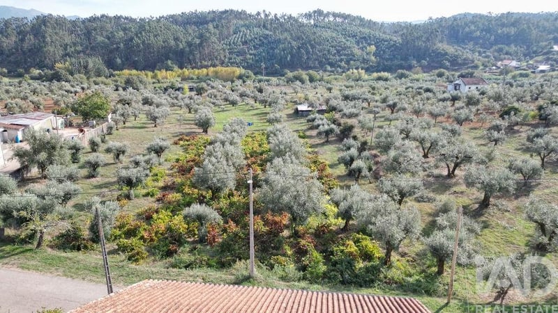 Land in Podentes - view 1