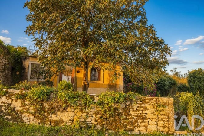 House in Chaos - view 1