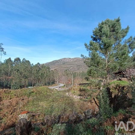 Land in Sopo - view 1