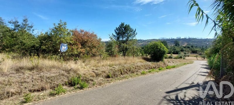 Land in Colmeias - view 1