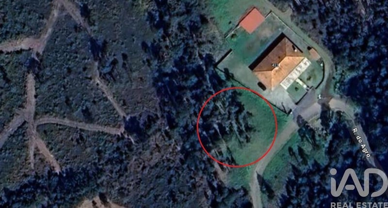 Land in Arcos - view 1