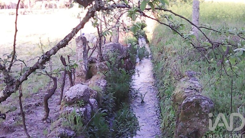 Land in Moimenta da Serra - view 1