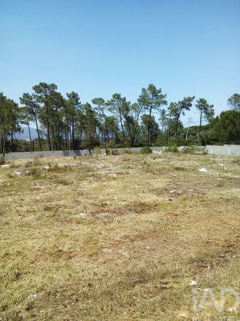 Land in Louriceira - view 1